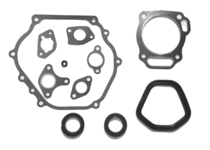 Набор уплотнений двигателя Champion TW00210032 для G390F