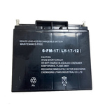 Аккумулятор 12.0V 17Ah 179-74-165мм Champion C3509 для GG5000EW/GG7001EW