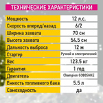 Снегоуборщик бензиновый самоходный CHAMPION ST1171E