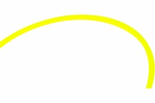 Леска триммерная CHAMPION Star 2.4х12м (C5025)