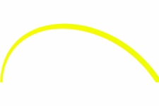 Леска триммерная CHAMPION Star 2.0х60м (C5027)